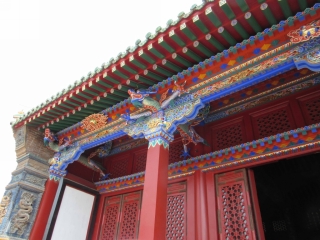 t_2018-06-29 t_IMG_8343.jpg